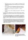 Cats #119