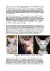 Cats #123