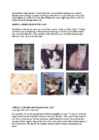 Cats #124