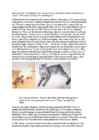 Cats #144