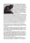 Cats #151