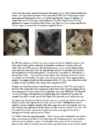 Cats #157