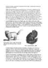 Cats #158