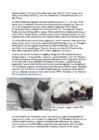Cats #159