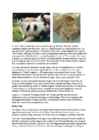 Cats #164