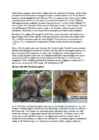 Cats #167