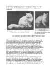 Cats #169