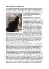 Cats #173