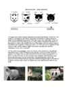 Cats #26
