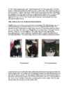 Cats #28