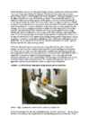 Cats #32