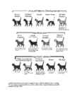 Cats #36
