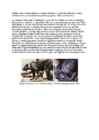 Cats #37