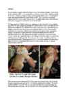 Cats #5