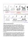 Cats #51