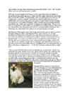 Cats #53