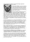 Cats #58