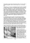 Cats #59