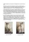 Cats #60