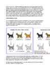 Cats #86