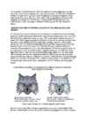 Cats #92