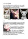 Cats #100