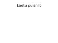 Virstu-Laetu-Puhtu looduskaitseala #8