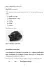 FOSFOR #5