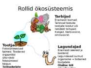 Ökosüsteem kui tervik #4