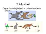 Ökosüsteem kui tervik #5