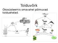 Ökosüsteem kui tervik #7