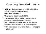 Energiavoog ökosüsteemis #6