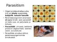 Organismidevahelised suhted #6