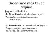 Ökoloogia- organismide suhted ümbritseva keskkonnaga #5