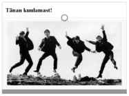 The Beatles #11
