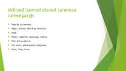 Lahemaa rahvuspark #6