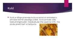 Metallide korrosioon #8