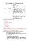 LASTINDUS JA LAONDUS- #5