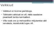 Tarbekeemia saadused-plastid ja kiudained #6