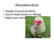 Põllumajandus #13