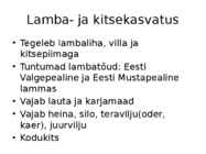 Põllumajandus #9