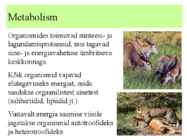 Metabolism ettekanne #2