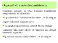 Metabolism ettekanne #11