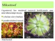 Metabolism ettekanne #5