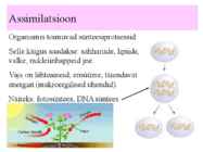 Metabolism ettekanne #8
