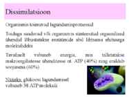 Metabolism ettekanne #9