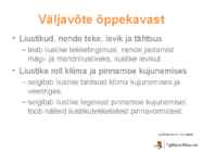 Liustikud ettekanne #2