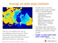 Liustikud ettekanne #19
