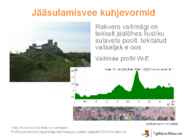 Liustikud ettekanne #26