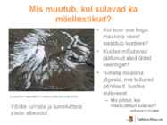 Liustikud ettekanne #29